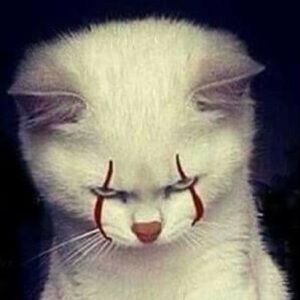 Meet your Posher, Magnolia